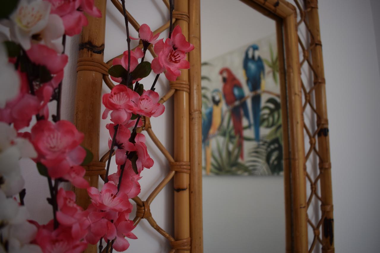 Casa Cinzia Bed & Breakfast Лас Палмас де Гран Канария Екстериор снимка